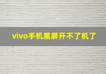 vivo手机黑屏开不了机了