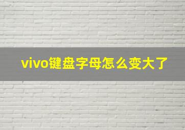 vivo键盘字母怎么变大了