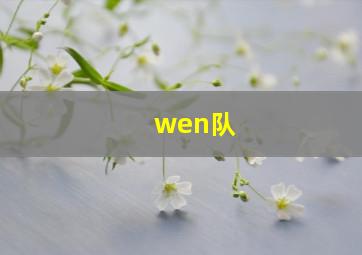 wen队