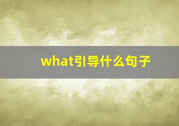 what引导什么句子