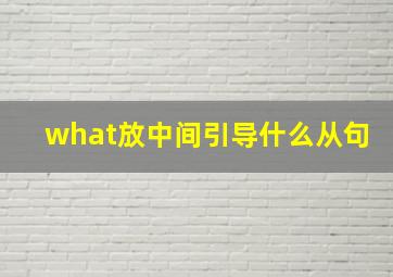 what放中间引导什么从句