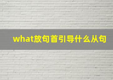 what放句首引导什么从句