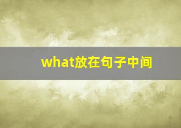 what放在句子中间