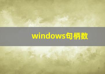 windows句柄数