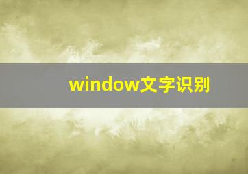 window文字识别