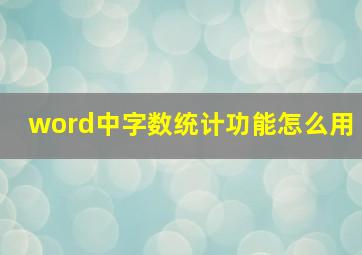 word中字数统计功能怎么用