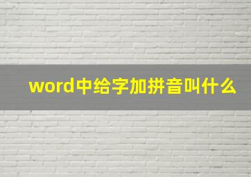 word中给字加拼音叫什么