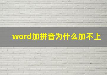 word加拼音为什么加不上