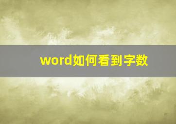 word如何看到字数