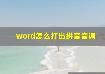 word怎么打出拼音音调