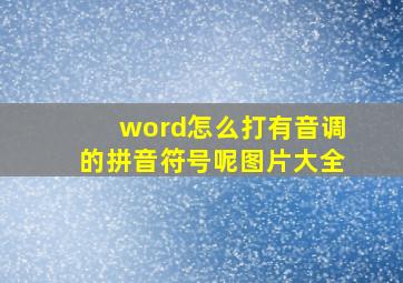 word怎么打有音调的拼音符号呢图片大全