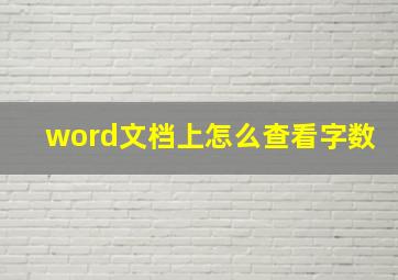 word文档上怎么查看字数