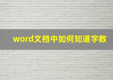 word文档中如何知道字数