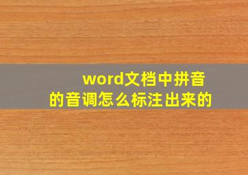 word文档中拼音的音调怎么标注出来的