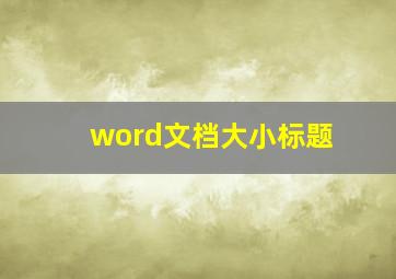 word文档大小标题