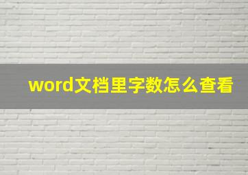 word文档里字数怎么查看