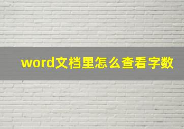 word文档里怎么查看字数