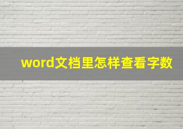 word文档里怎样查看字数