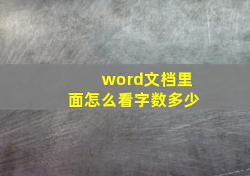 word文档里面怎么看字数多少