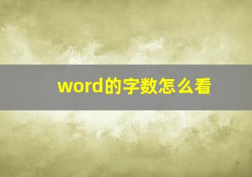 word的字数怎么看