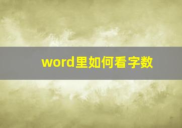 word里如何看字数