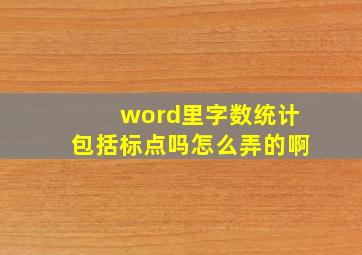 word里字数统计包括标点吗怎么弄的啊