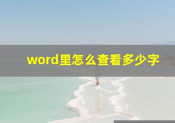 word里怎么查看多少字