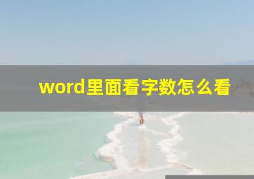 word里面看字数怎么看