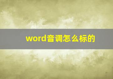 word音调怎么标的