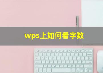 wps上如何看字数