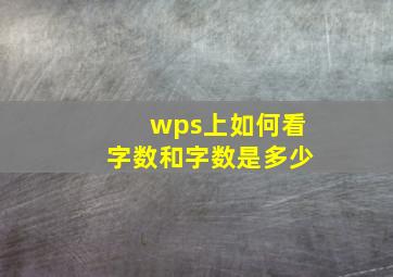 wps上如何看字数和字数是多少