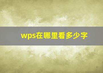 wps在哪里看多少字