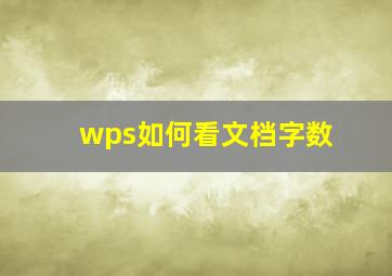 wps如何看文档字数