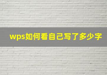 wps如何看自己写了多少字