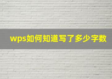 wps如何知道写了多少字数