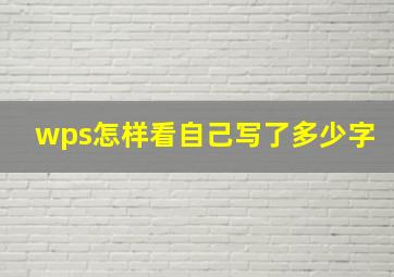 wps怎样看自己写了多少字