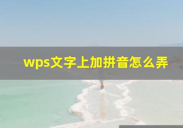 wps文字上加拼音怎么弄