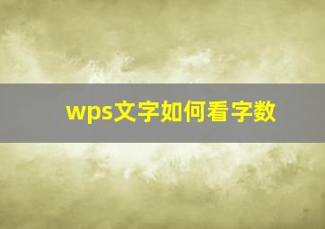 wps文字如何看字数