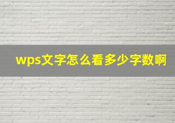 wps文字怎么看多少字数啊