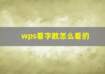 wps看字数怎么看的