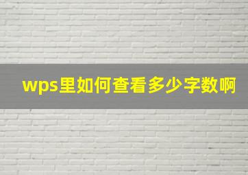 wps里如何查看多少字数啊