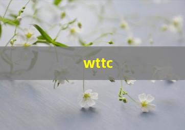 wttc