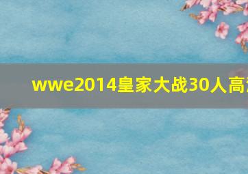 wwe2014皇家大战30人高清