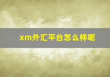 xm外汇平台怎么样呢