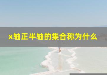 x轴正半轴的集合称为什么