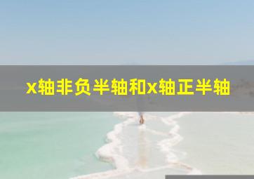 x轴非负半轴和x轴正半轴