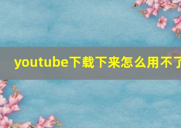 youtube下载下来怎么用不了