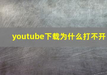 youtube下载为什么打不开