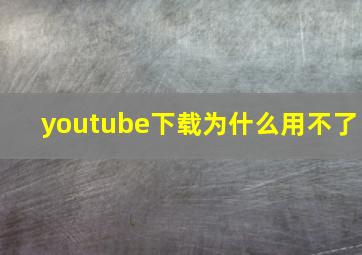 youtube下载为什么用不了