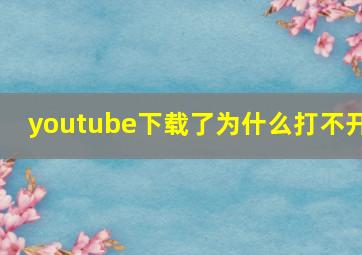 youtube下载了为什么打不开